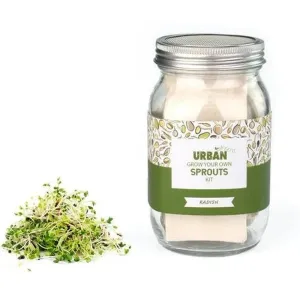 Urban Greens Radish Sprouts Jar Kit