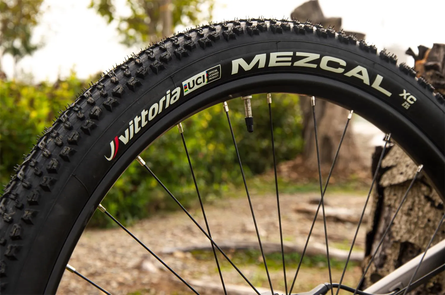 Vittoria Mezcal UCI edition XC-TLR 29" Tyre